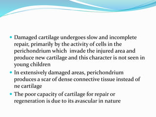  Damaged cartilage undergoes slow and incomplete
repair, primarily by the activity of cells in the
perichondrium which invade the injured area and
produce new cartilage and this character is not seen in
young children
 In extensively damaged areas, perichondrium
produces a scar of dense connective tissue instead of
ne cartilage
 The poor capacity of cartilage for repair or
regeneration is due to its avascular in nature
 