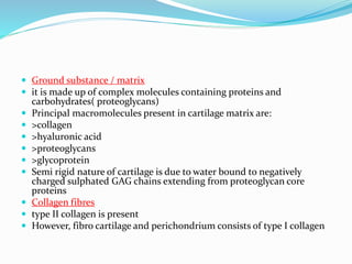  Ground substance / matrix
 it is made up of complex molecules containing proteins and
carbohydrates( proteoglycans)
 Principal macromolecules present in cartilage matrix are:
 >collagen
 >hyaluronic acid
 >proteoglycans
 >glycoprotein
 Semi rigid nature of cartilage is due to water bound to negatively
charged sulphated GAG chains extending from proteoglycan core
proteins
 Collagen fibres
 type II collagen is present
 However, fibro cartilage and perichondrium consists of type I collagen
 