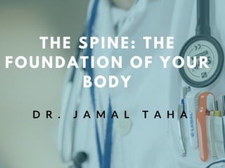 The Spine: The Foundation of Your Body 