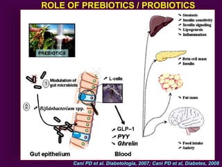 Dr. mohan microbiota chennai dec 4 | PPT