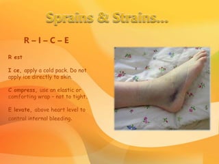 basic life support | PPTX