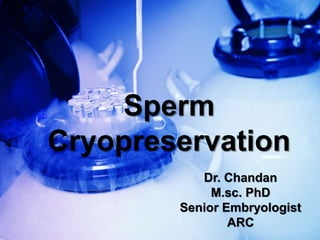 Sperm
Cryopreservation
Dr. Chandan
M.sc. PhD
Senior Embryologist
ARC
 