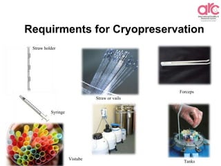 Straw holder
Straw or vails
Forceps
Syringe
Vistube
Requirments for Cryopreservation
Tanks
 