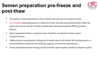 Semen preparation pre-freeze and
post-thaw
• The quality of ejaculated semen is also related to the outcome of cryopreservation.
• For example, dead spermatozoa or leukocytes in pre-freezing semen detrimentally affect the
sperm survival rate and the fertility potential after thawing through the ROS generation
process
• Sperm preparation before cryopreservation should be considered in routine sperm
cryopreservation.
• Optimizing the concentration of progressive motile sperm cells before the freezing process is
recommended to ameliorate the fertilizing capacity of the frozen spermatozoa.
• Semen preparation before freezing resulted in better sperm quality and fewer apoptotic sperm.
 