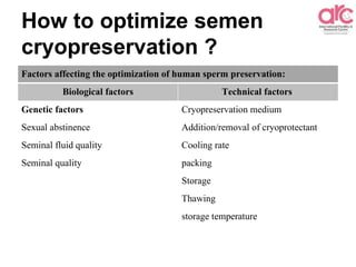 How to optimize semen
cryopreservation ?
Factors affecting the optimization of human sperm preservation:
Technical factorsBiological factors
Cryopreservation mediumGenetic factors
Addition/removal of cryoprotectantSexual abstinence
Cooling rateSeminal fluid quality
packingSeminal quality
Storage
Thawing
storage temperature
 