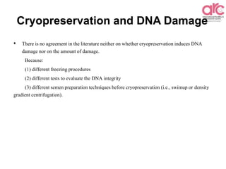 Cryopreservation and DNA Damage
• There is no agreement in the literature neither on whether cryopreservation induces DNA
damage nor on the amount of damage.
Because:
(1) different freezing procedures
(2) different tests to evaluate the DNA integrity
(3) different semen preparation techniques before cryopreservation (i.e., swimup or density
gradient centrifugation).
 