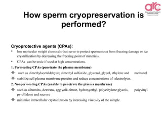 How sperm cryopreservation is
performed?
Cryoprotective agents (CPAs):
• low molecular weight chemicals that serve to protect spermatozoa from freezing damage or ice
crystallization by decreasing the freezing point of materials.
• CPAs can be toxic if used at high concentrations.
1. Permeating CPAs (penetrate the plasma membrane)
 such as dimethylacetaldehyde; dimethyl sulfoxide, glycerol, glycol, ethylene and methanol
 stabilize cell plasma membrane proteins and reduce concentrations of electrolytes.
2. Nonpermeating CPAs (unable to penetrate the plasma membrane)
 such as albumins, dextrans, egg yolk citrate, hydroxyethyl, polyethylene glycols, polyvinyl
pyrollidone and sucrose
 minimize intracellular crystallization by increasing viscosity of the sample.
 