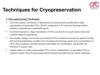 Techniques for Cryopreservation
3. Ultra-rapid freezing (Vitrification)
• Until only recently, vitrification of spermatozoa was unsuccessful, possibly due to high
concentrations of permeable CPAs (30-50% compared to 5-7% with slow freezing) and low
tolerance of spermatozoa to permeable agents.
• Even brief exposure to a high concentration of CPAs can lead to toxic and osmotic shock and
would be lethal for spermatozoa.
• One possible strategy to lower the concentration of CPAs could be to increase the speed of cooling
and warming temperatures as higher rates of cooling and warming, require lower concentrations of
CPAs; these conditions can help eliminate intracellular ice crystallization, and facilitate the
formation of a glassy state .
• Another option is to add non-permeable CPAs--such as carbohydrates--to permeable CPAs to
minimize osmotic shock by decreasing osmotic pressure and stabilizing the nuclear membrane.
 
