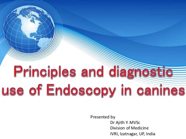 Pdf Mini Review Applications Of Endoscopy In Canine Medicine