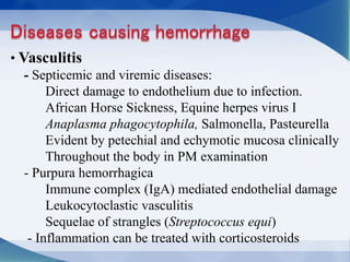 • Vasculitis
- Septicemic and viremic diseases:
Direct damage to endothelium due to infection.
African Horse Sickness, Equine herpes virus I
Anaplasma phagocytophila, Salmonella, Pasteurella
Evident by petechial and echymotic mucosa clinically
Throughout the body in PM examination
- Purpura hemorrhagica
Immune complex (IgA) mediated endothelial damage
Leukocytoclastic vasculitis
Sequelae of strangles (Streptococcus equi)
- Inflammation can be treated with corticosteroids
 