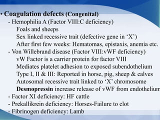 • Coagulation defects (Congenital)
- Hemophilia A (Factor VIII:C deficiency)
Foals and sheeps
Sex linked recessive trait (defective gene in ‘X’)
After first few weeks: Hematomas, epistaxis, anemia etc.
- Von Willebrand disease (Factor VIII:vWF deficiency)
vW Factor is a carrier protein for factor VIII
Mediates platelet adhesion to exposed subendothelium
Type I, II & III: Reported in horse, pig, sheep & calves
Autosomal recessive trait linked to ‘X’ chromosome
Desmopressin increase release of vWF from endothelium
- Factor XI deficiency: HF cattle
- Prekallikrein deficiency: Horses-Failure to clot
- Fibrinogen deficiency: Lamb
 