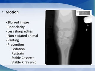 • Motion
- Blurred image
- Poor clarity
- Less sharp edges
- Non-sedated animal
- Panting
- Prevention
Sedation
Restrain
Stable Cassette
Stable X ray unit
 