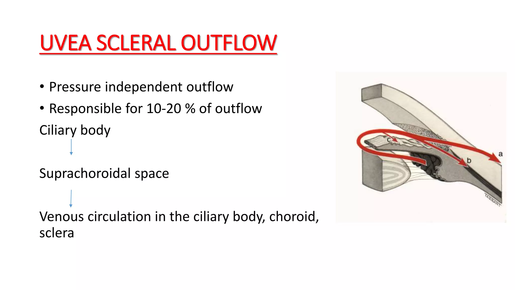 UVEA SCLERAL OUTFLOW
• Pressure independent outflow
• Responsible for 10-20 % of outflow
Ciliary body
Suprachoroidal space
Venous circulation in the ciliary body, choroid,
sclera
 