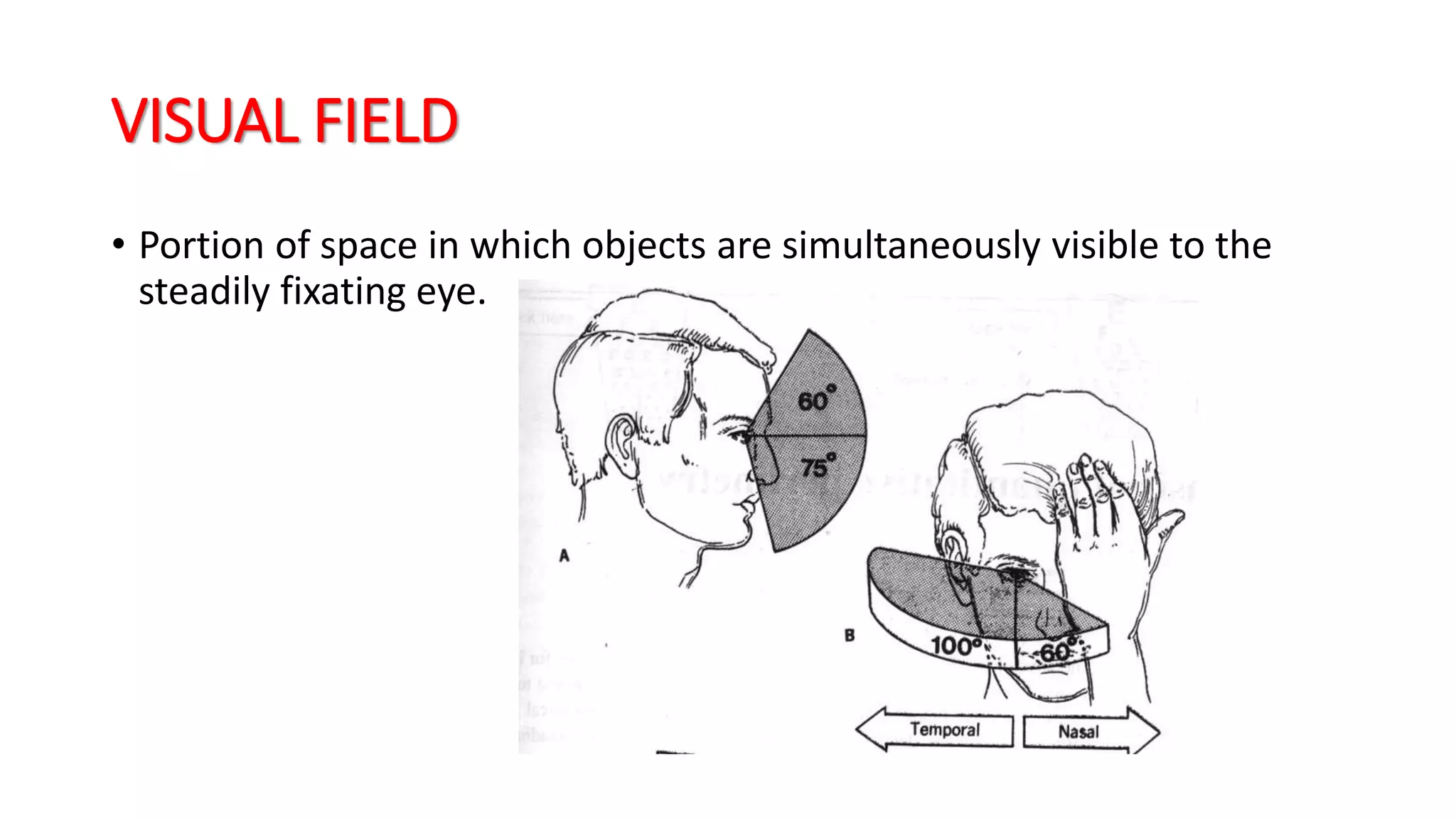 VISUAL FIELD
• Portion of space in which objects are simultaneously visible to the
steadily fixating eye.
 