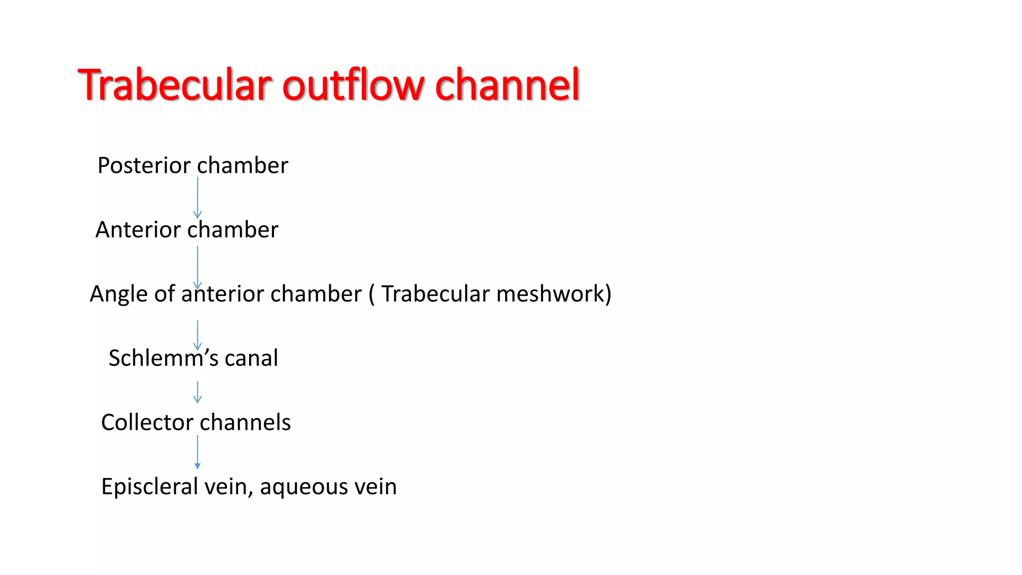 Trabecular outflow channel
Posterior chamber
Anterior chamber
Angle of anterior chamber ( Trabecular meshwork)
Schlemm’s canal
Collector channels
Episcleral vein, aqueous vein
 