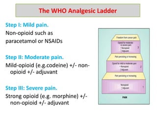 Step I: Mild pain.
Non-opioid such as
paracetamol or NSAIDs
Step II: Moderate pain.
Mild-opioid (e.g.codeine) +/- non-
opioid +/- adjuvant
Step III: Severe pain.
Strong opioid (e.g. morphine) +/-
non-opioid +/- adjuvant
The WHO Analgesic Ladder
 