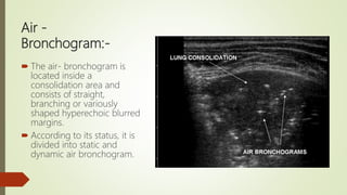 Lung Ultrasound Basics | PPTX