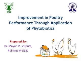 Improvement in Poultry
Performance Through Application
of Phytobiotics
Prepared By:
Dr. Mayur M. Vispute,
Roll No: M-5631
 