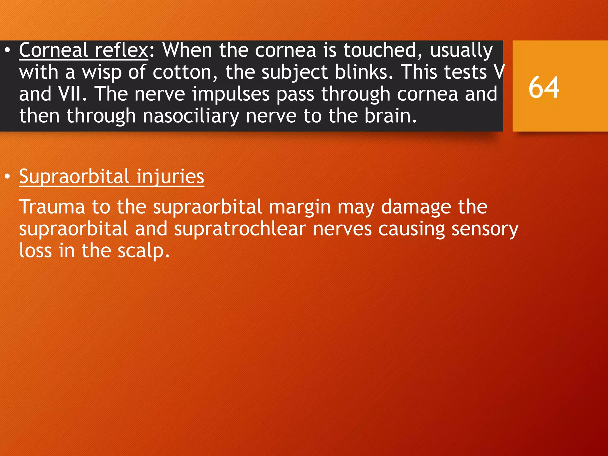 • Corneal reflex: When the cornea is touched, usually
with a wisp of cotton, the subject blinks. This tests V
and VII. The nerve impulses pass through cornea and
then through nasociliary nerve to the brain.
• Supraorbital injuries
Trauma to the supraorbital margin may damage the
supraorbital and supratrochlear nerves causing sensory
loss in the scalp.
64
 