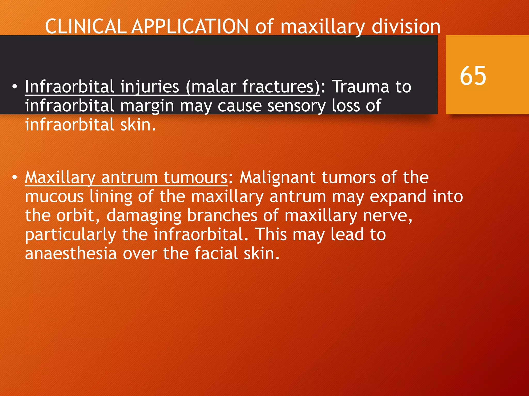CLINICAL APPLICATION of maxillary division
• Infraorbital injuries (malar fractures): Trauma to
infraorbital margin may cause sensory loss of
infraorbital skin.
• Maxillary antrum tumours: Malignant tumors of the
mucous lining of the maxillary antrum may expand into
the orbit, damaging branches of maxillary nerve,
particularly the infraorbital. This may lead to
anaesthesia over the facial skin.
65
 