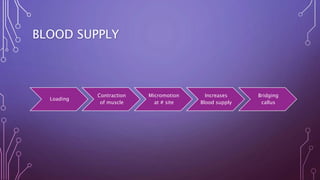 BLOOD SUPPLY
Loading
Contraction
of muscle
Micromotion
at # site
Increases
Blood supply
Bridging
callus
 