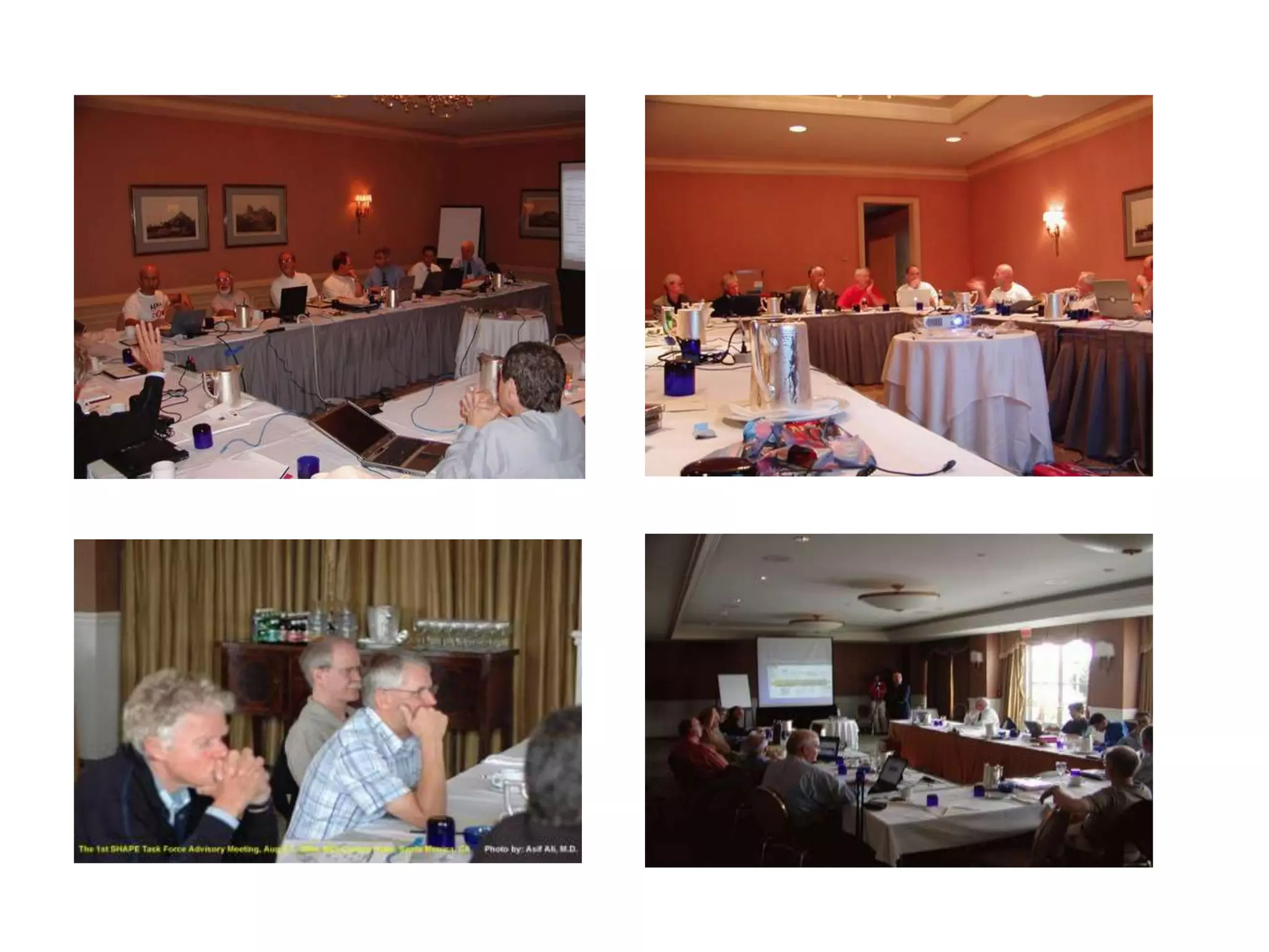 SHAPE Task Force Meeting
 