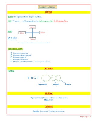 17 | P á g i n a
UTERO:
QUE ES= Un órgano enforma de perainvertida.
PESO= 70 gramos  Se pregunten en Nulípara pesa:50gr. En Multípara:70gr.
MIDE=
AP: 40-50mm
anteroposterior
En multíparas todas medidas estánaumentadas en 10-20mm
MEDIO DE FIJACIÓN:
 Ligamientoredondo
 Ligamientosacrouterino
 LigamientoAncho
 Ligamientocardinal
 MusculoElevadordel ano (el + importante mediode fijación)
TROMPA:
PARTES:
T R A I
Transmural Ampolla Ístmica
VAGINA:
Órgano elástico (Con conexión del canal del parto)
Mide: 6-8cm
OVARIO:
Función: Generativa, Vegetativa, Somática.
ORGANOS INTERNOS
60 mm
70 mm
50 mm30 mm
 