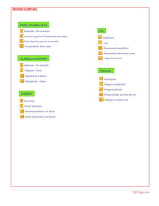 7 | P á g i n a
MANERA COMPLEJA
 