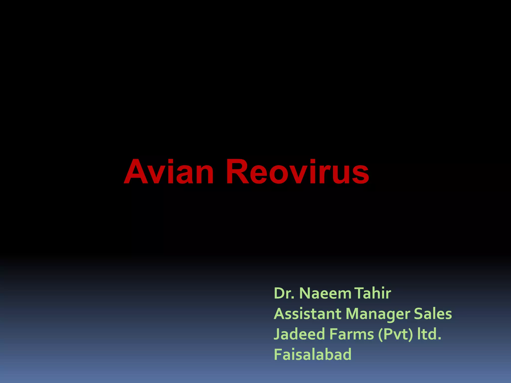 Avian Reo Virus | PPTX