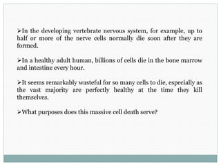 In the developing vertebrate nervous system, for example, up to
half or more of the nerve cells normally die soon after they are
formed.
In a healthy adult human, billions of cells die in the bone marrow
and intestine every hour.
It seems remarkably wasteful for so many cells to die, especially as
the vast majority are perfectly healthy at the time they kill
themselves.
What purposes does this massive cell death serve?
 