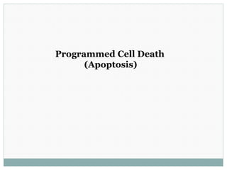 Programmed Cell Death
(Apoptosis)
 