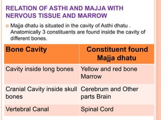 RELATION OF ASTHI AND MAJJA WITH
NERVOUS TISSUE AND MARROW
 Majja dhatu is situated in the cavity of Asthi dhatu .
Anatomically 3 constituents are found inside the cavity of
different bones.
Bone Cavity Constituent found
Majja dhatu
Cavity inside long bones Yellow and red bone
Marrow
Cranial Cavity inside skull
bones
Cerebrum and Other
parts Brain
Vertebral Canal Spinal Cord
 