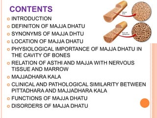 CONTENTS
 INTRODUCTION
 DEFINITON OF MAJJA DHATU
 SYNONYMS OF MAJJA DHTU
 LOCATION OF MAJJA DHATU
 PHYSIOLOGICAL IMPORTANCE OF MAJJA DHATU IN
THE CAVITY OF BONES
 RELATION OF ASTHI AND MAJJA WITH NERVOUS
TISSUE AND MARROW
 MAJJADHARA KALA
 CLINICAL AND PATHOLOGICAL SIMILARITY BETWEEN
PITTADHARA AND MAJJADHARA KALA
 FUNCTIONS OF MAJJA DHATU
 DISORDERS OF MAJJA DHATU
 