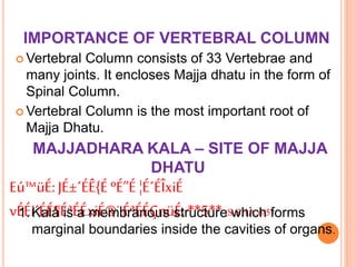 IMPORTANCE OF VERTEBRAL COLUMN
 Vertebral Column consists of 33 Vertebrae and
many joints. It encloses Majja dhatu in the form of
Spinal Column.
 Vertebral Column is the most important root of
Majja Dhatu.
MAJJADHARA KALA – SITE OF MAJJA
DHATU
Eú™üÉ:JÉ±´ÉÊ{ÉºÉ”É ¦É´ÉÎxiÉ
vÉÉi´ÉÉ¶ÉªÉÉxiÉ®¨ÉªÉÉÇnüÉ:**5** (S.SHA.4/5)1.Kala is a membranous structure which forms
marginal boundaries inside the cavities of organs.
 