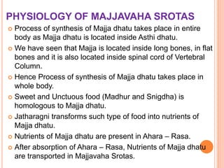 PHYSIOLOGY OF MAJJAVAHA SROTAS
 Process of synthesis of Majja dhatu takes place in entire
body as Majja dhatu is located inside Asthi dhatu.
 We have seen that Majja is located inside long bones, in flat
bones and it is also located inside spinal cord of Vertebral
Column.
 Hence Process of synthesis of Majja dhatu takes place in
whole body.
 Sweet and Unctuous food (Madhur and Snigdha) is
homologous to Majja dhatu.
 Jatharagni transforms such type of food into nutrients of
Majja dhatu.
 Nutrients of Majja dhatu are present in Ahara – Rasa.
 After absorption of Ahara – Rasa, Nutrients of Majja dhatu
are transported in Majjavaha Srotas.
 