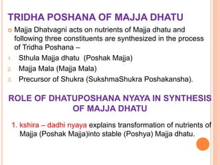TRIDHA POSHANA OF MAJJA DHATU
 Majja Dhatvagni acts on nutrients of Majja dhatu and
following three constituents are synthesized in the process
of Tridha Poshana –
1. Sthula Majja dhatu (Poshak Majja)
2. Majja Mala (Majja Mala)
3. Precursor of Shukra (SukshmaShukra Poshakansha).
ROLE OF DHATUPOSHANA NYAYA IN SYNTHESIS
OF MAJJA DHATU
1. kshira – dadhi nyaya explains transformation of nutrients of
Majja (Poshak Majja)into stable (Poshya) Majja dhatu.
 