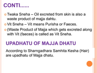 CONTI......
 Twaka Sneha – Oil excreted from skin is also a
waste product of majja dahtu.
 Vit Sneha – Vit means Purisha or Faeces.
 (Waste Product of Majja which gets excreted along
with Vit (faeces) is called as Vit Sneha.
UPADHATU OF MAJJA DHATU
According to Sharngadhara Samhita Kesha (Hair)
are upadhatu of Majja dhatu.
 
