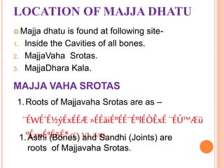 LOCATION OF MAJJA DHATU
 Majja dhatu is found at following site-
1. Inside the Cavities of all bones.
2. MajjaVaha Srotas.
3. MajjaDhara Kala.
MAJJA VAHA SROTAS
1.Roots of Majjavaha Srotas are as –
¨ÉWÉ´É½ýÉxÉÉÆ »ÉÉäiÉºÉÉ¨ÉºlÉÒÊxÉ¨ÉÚ™Æü
ºÉxvÉªÉõÉ* (C. VI. 5/8)1.Asthi (Bones) and Sandhi (Joints) are
roots of Majjavaha Srotas.
 