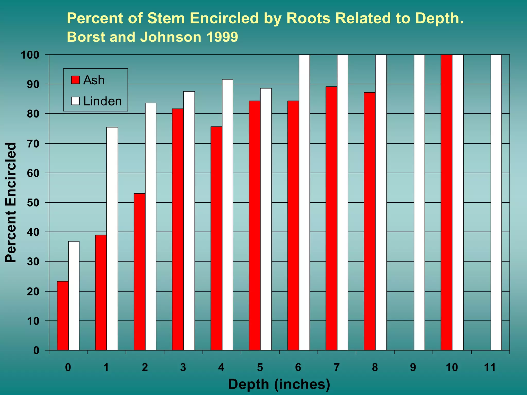 Percent of Stem Encircled by Roots Related to Depth.
Borst and Johnson 1999
0
10
20
30
40
50
60
70
80
90
100
0 1 2 3 4 5 6 7 8 9 10 11
Depth (inches)
PercentEncircled
Ash
Linden
 