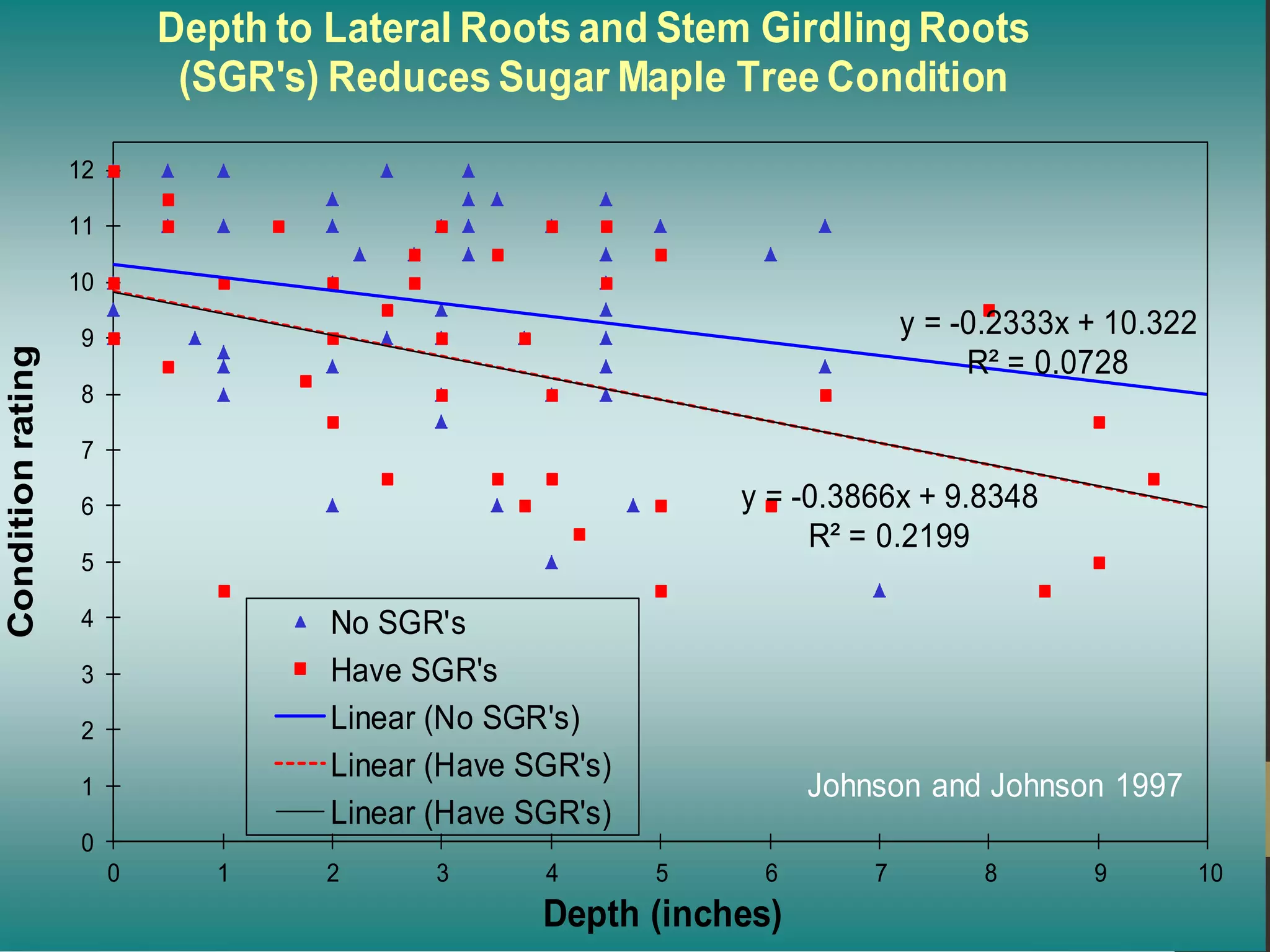y = -0.2333x + 10.322
R² = 0.0728
y = -0.3866x + 9.8348
R² = 0.2199
0
1
2
3
4
5
6
7
8
9
10
11
12
0 1 2 3 4 5 6 7 8 9 10
Conditionrating
Depth (inches)
Depth to Lateral Roots and Stem Girdling Roots
(SGR's) Reduces Sugar Maple Tree Condition
No SGR's
Have SGR's
Linear (No SGR's)
Linear (Have SGR's)
Linear (Have SGR's)
Johnson and Johnson 1997
 