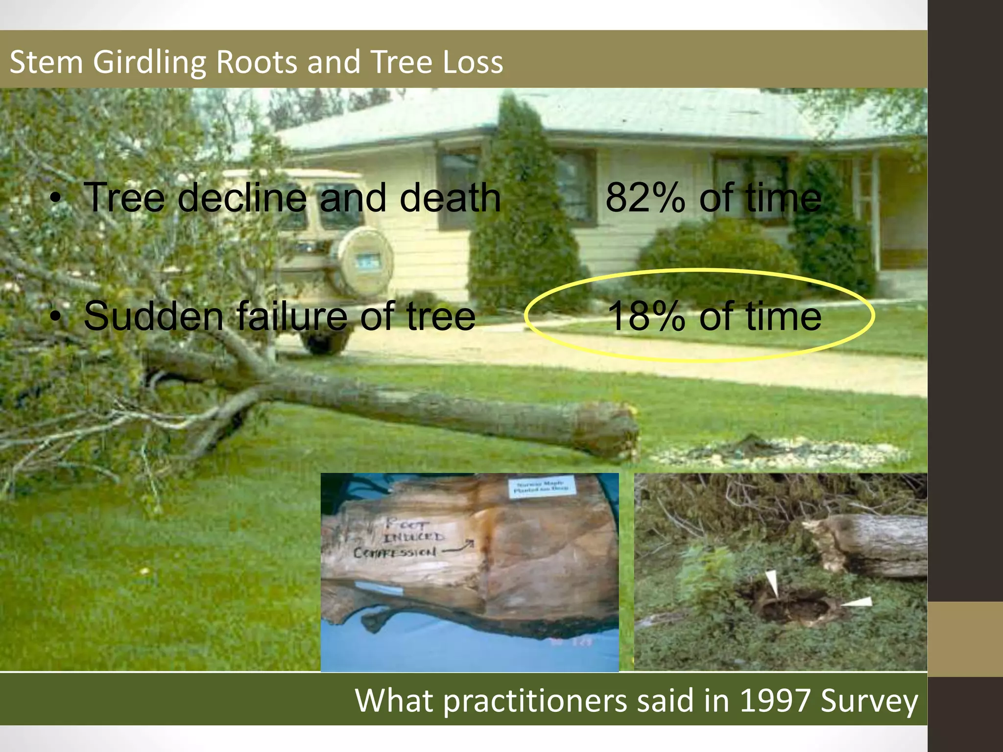 • Tree decline and death 82% of time
• Sudden failure of tree 18% of time
Stem Girdling Roots and Tree Loss
What practitioners said in 1997 Survey
 