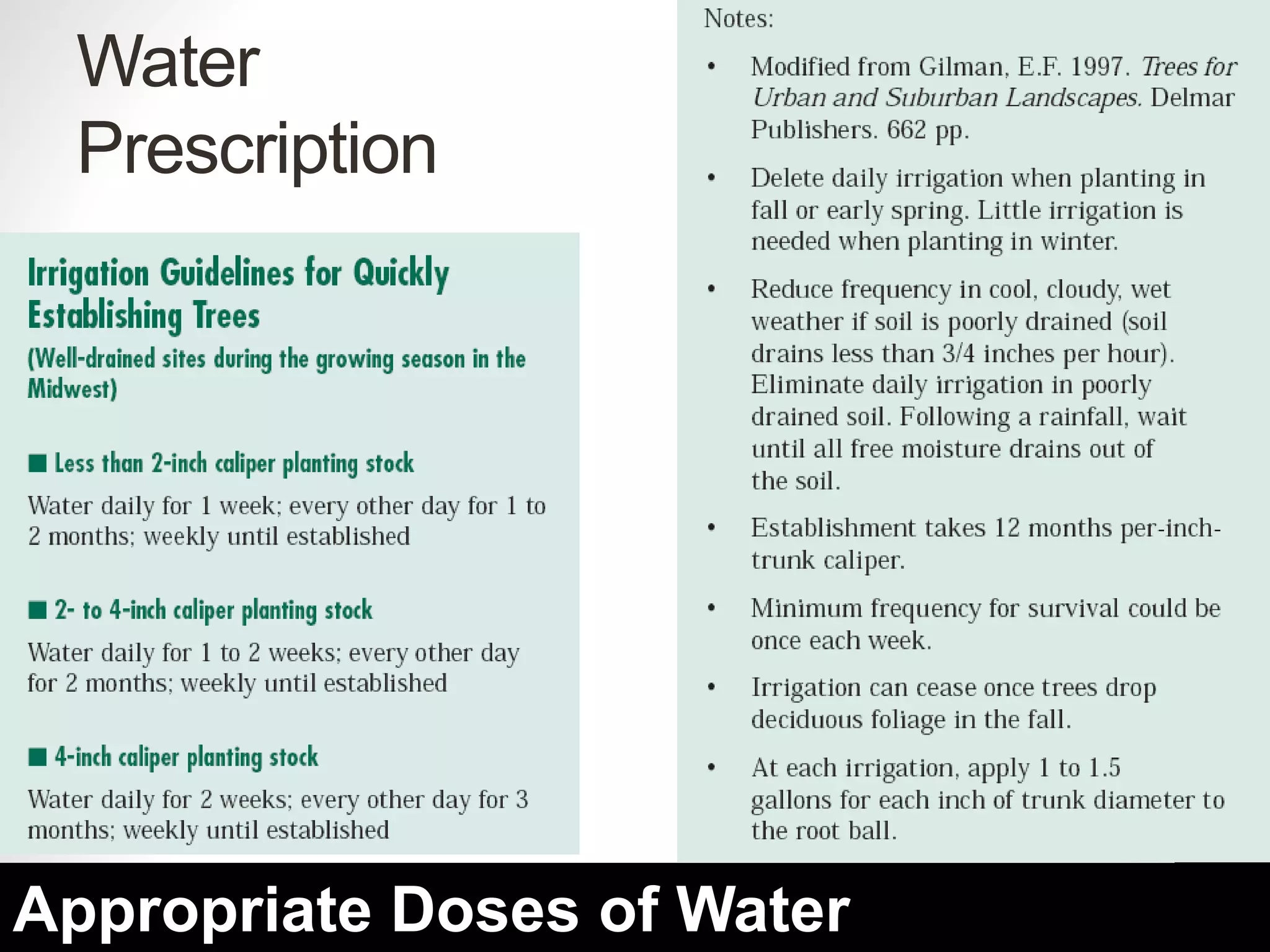 Water
Prescription
Appropriate Doses of Water
 