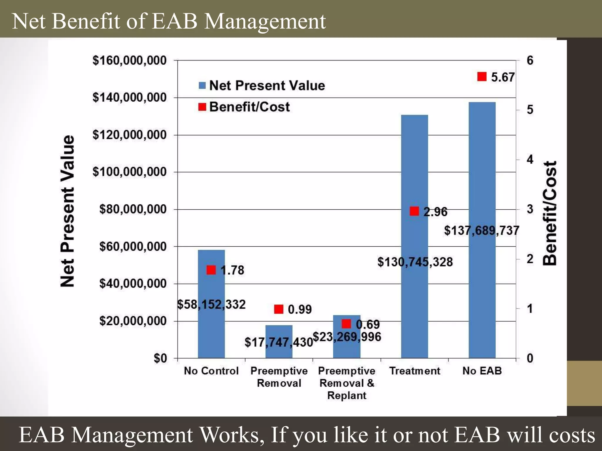 Net Benefit of EAB Management
EAB Management Works, If you like it or not EAB will costs
 