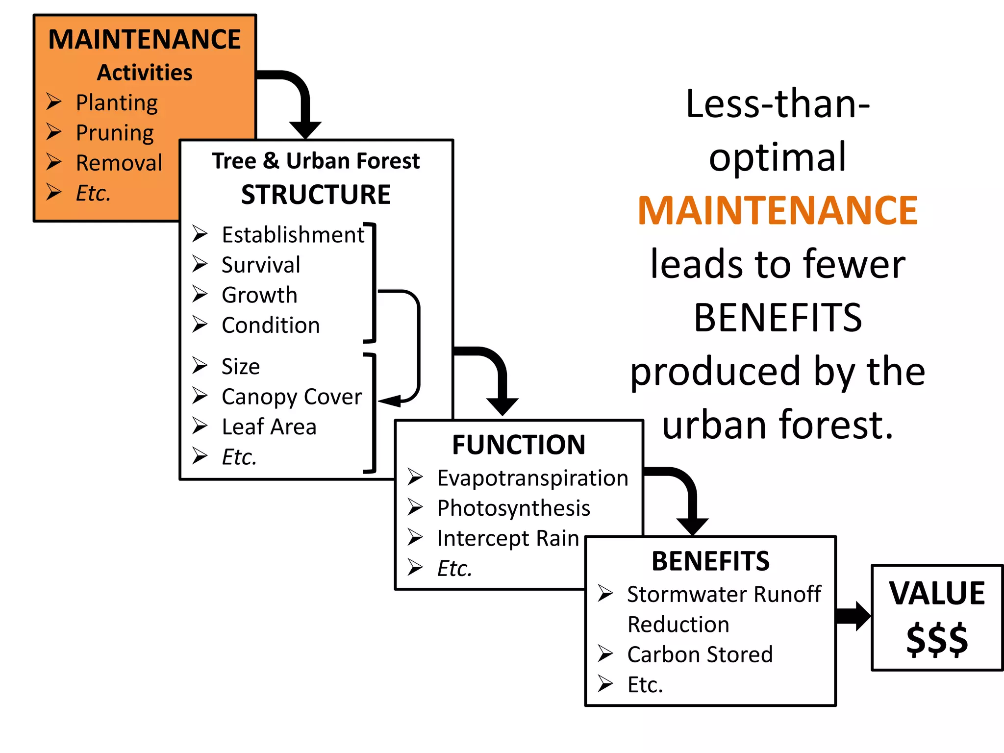 MAINTENANCE
Activities
 Planting
 Pruning
 Removal
 Etc.
Tree & Urban Forest
STRUCTURE
 Establishment
 Survival
 Growth
 Condition
 Size
 Canopy Cover
 Leaf Area
 Etc. FUNCTION
 Evapotranspiration
 Photosynthesis
 Intercept Rain
 Etc. BENEFITS
 Stormwater Runoff
Reduction
 Carbon Stored
 Etc.
VALUE
$$$
Less-than-
optimal
MAINTENANCE
leads to fewer
BENEFITS
produced by the
urban forest.
 