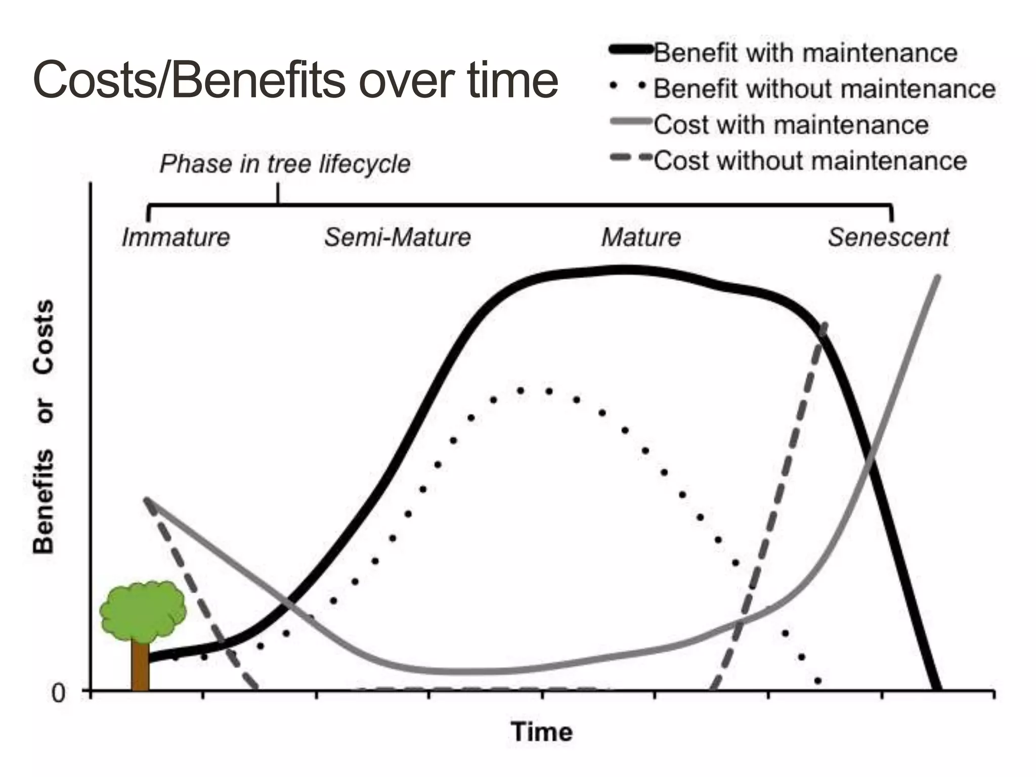 Costs/Benefits over time
 