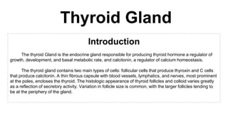Thyroid Gland
Introduction
The thyroid Gland is the endocrine gland responsible for producing thyroid hormone a regulator of
growth, development, and basal metabolic rate, and calcitonin, a regulator of calcium homeostasis.
The thyroid gland contains two main types of cells: follicular cells that produce thyroxin and C cells
that produce calcitonin. A thin fibrous capsule with blood vessels, lymphatics, and nerves, most prominent
at the poles, encloses the thyroid. The histologic appearance of thyroid follicles and colloid varies greatly
as a reflection of secretory activity. Variation in follicle size is common, with the larger follicles tending to
be at the periphery of the gland.
 