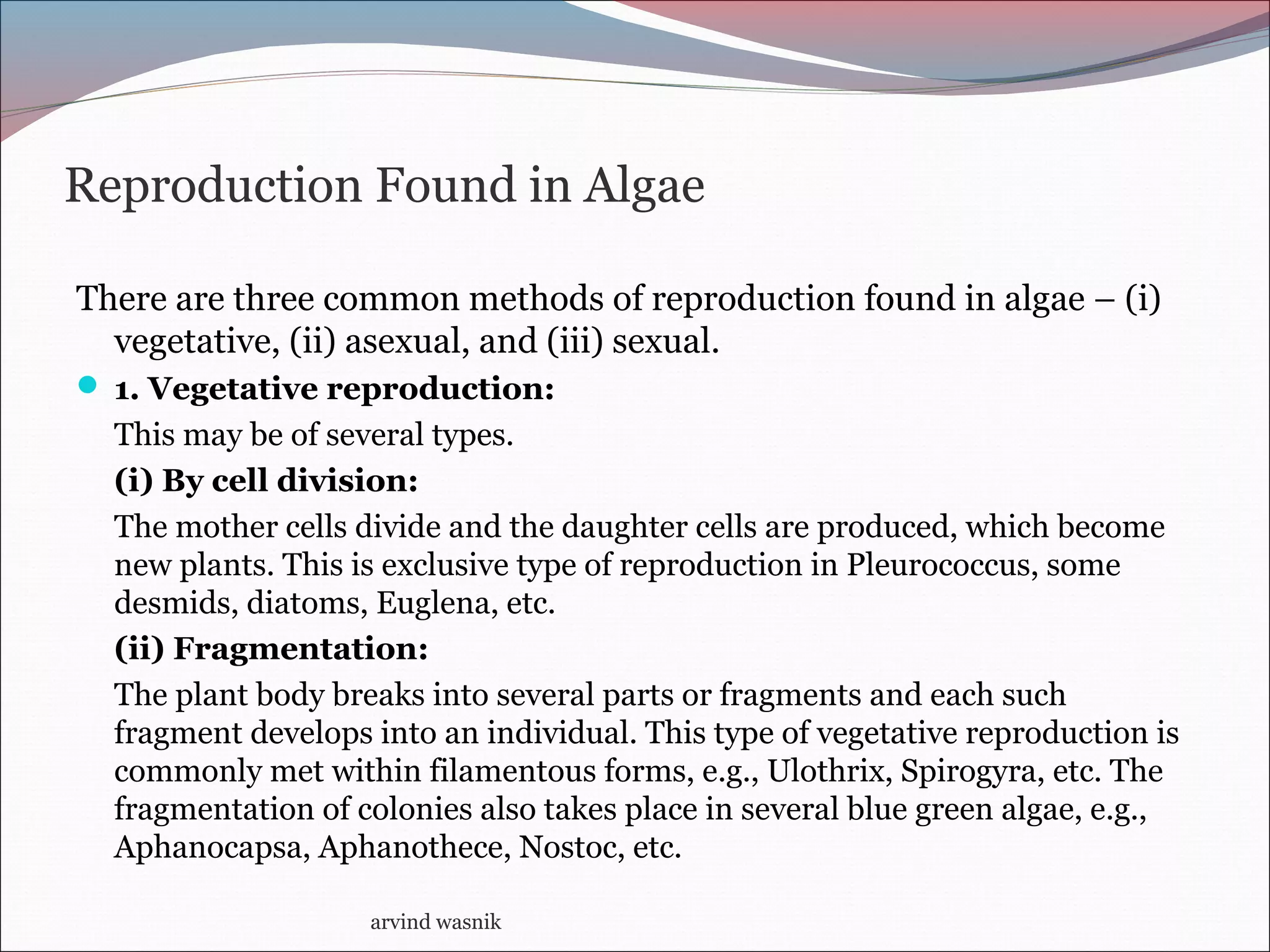 Reproduction Found in Algae
There are three common methods of reproduction found in algae – (i)
vegetative, (ii) asexual, and (iii) sexual.
 1. Vegetative reproduction:
This may be of several types.
(i) By cell division:
The mother cells divide and the daughter cells are produced, which become
new plants. This is exclusive type of reproduction in Pleurococcus, some
desmids, diatoms, Euglena, etc.
(ii) Fragmentation:
The plant body breaks into several parts or fragments and each such
fragment develops into an individual. This type of vegetative reproduction is
commonly met within filamentous forms, e.g., Ulothrix, Spirogyra, etc. The
fragmentation of colonies also takes place in several blue green algae, e.g.,
Aphanocapsa, Aphanothece, Nostoc, etc.
arvind wasnik
 