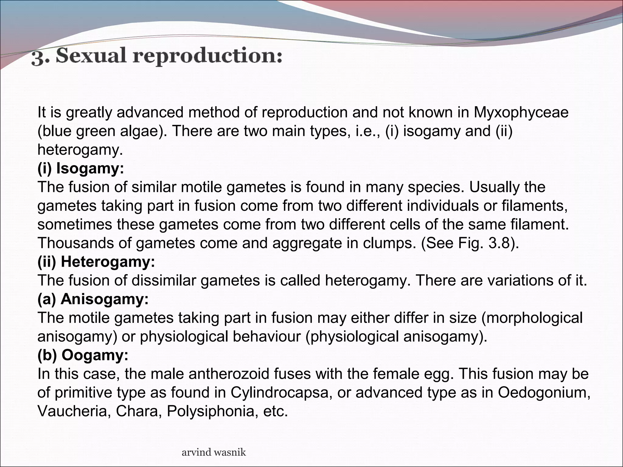 arvind wasnik
It is greatly advanced method of reproduction and not known in Myxophyceae
(blue green algae). There are two main types, i.e., (i) isogamy and (ii)
heterogamy.
(i) Isogamy:
The fusion of similar motile gametes is found in many species. Usually the
gametes taking part in fusion come from two different individuals or filaments,
sometimes these gametes come from two different cells of the same filament.
Thousands of gametes come and aggregate in clumps. (See Fig. 3.8).
(ii) Heterogamy:
The fusion of dissimilar gametes is called heterogamy. There are variations of it.
(a) Anisogamy:
The motile gametes taking part in fusion may either differ in size (morphological
anisogamy) or physiological behaviour (physiological anisogamy).
(b) Oogamy:
In this case, the male antherozoid fuses with the female egg. This fusion may be
of primitive type as found in Cylindrocapsa, or advanced type as in Oedogonium,
Vaucheria, Chara, Polysiphonia, etc.
 