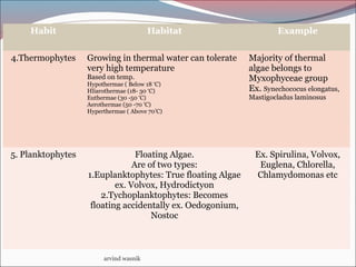Habit Habitat Example
4.Thermophytes Growing in thermal water can tolerate
very high temperature
Based on temp.
Hypothermae ( Below 18 ‘C)
Hliarothermae (18- 30 ‘C)
Euthermae (30 -50 ‘C)
Aerothermae (50 -70 ‘C)
Hyperthermae ( Above 70’C)
Majority of thermal
algae belongs to
Myxophyceae group
Ex. Synechococus elongatus,
Mastigocladus laminosus
5. Planktophytes Floating Algae.
Are of two types:
1.Euplanktophytes: True floating Algae
ex. Volvox, Hydrodictyon
2.Tychoplanktophytes: Becomes
floating accidentally ex. Oedogonium,
Nostoc
Ex. Spirulina, Volvox,
Euglena, Chlorella,
Chlamydomonas etc
arvind wasnik
 