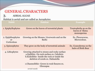 GENERAL CHARACTERS
3. AERIAL ALGAE
Habitat is aerial and are called as Aerophytes
Habit Habitat Example
1. Epiphyllophytes Grows on the leaves of terrestrial plants Trentopholia sp on the
leaves of Butea
monosperma
2. Epiphloephytes
or
Corticolous
Growing on the Mosses, Liverworts and on the
Barks
Ex. Pleurococus,
Microcolous.
3. Epizoophytes They grow on the body of terrestrial animals Ex. Cyanoderma on the
hairs of Sloth Bear
4. Lithophytes Growing attached to stones and rocky surface
a.Epilithic- On rock surface ex. Calothrix
b.Endolithic- Inside the rock or inside the
skeleton of corals ex. Dalmatella
c.Chasmolithic- Grows in rock fissures ex.
Gleocapsa
arvind wasnik
 